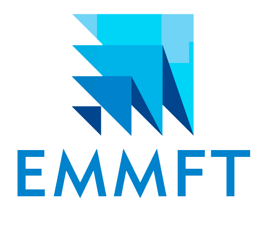 EMMFT-2017